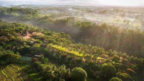 Maya Ubud Resort & Spa — Bird's eye view