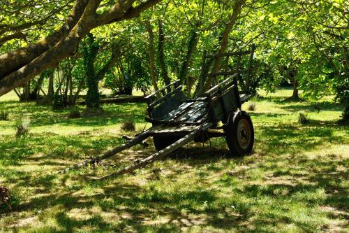 a park bench sitting in the grass under trees at Gîtes Domaine des Machottes in Grans