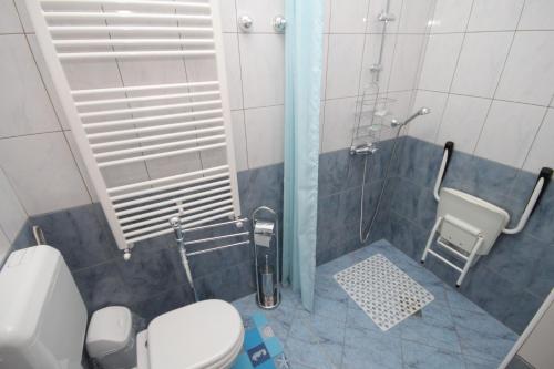 La petite salle de bains est pourvue d'une douche et de toilettes. dans l'établissement Family friendly apartments with a swimming pool Lindar, Central Istria - Sredisnja Istra - 7197, à Pazin