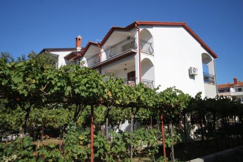Fotografia z galérie ubytovania Apartments with a parking space Rovinj - 7195 v Rovinj
