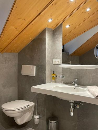 a bathroom with a white sink and a toilet at Alpin Apart Maurer in Längenfeld