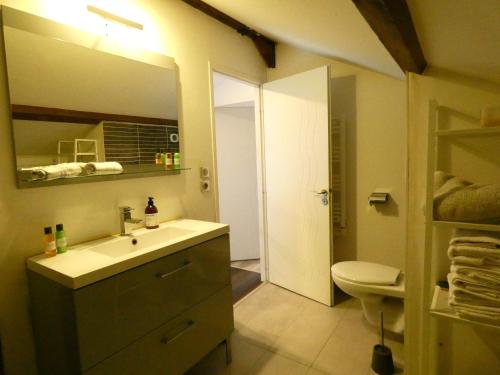 La salle de bains est pourvue d'un lavabo, de toilettes et d'un miroir. dans l'établissement Maison moderne et spacieuse avec piscine, à Villeurbanne
