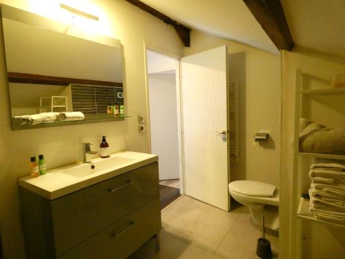 a bathroom with a sink and a toilet and a mirror at Maison moderne et spacieuse avec piscine in Villeurbanne