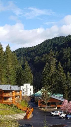Příroda nedaleko hotelu