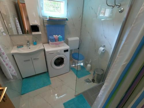 y baño con lavadora y ducha. en Spignoviza en Kanfanar