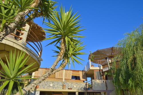 a group of palm trees in front of a building at Anemomili Village in Kissamos