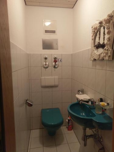 a bathroom with a green toilet and a sink at Aalens schönste Aussicht in Aalen