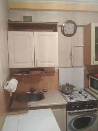 a small kitchen with a stove and a sink at Уютная 1 комнатная квартира возле метро Дарница in Kyiv