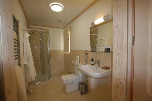 a bathroom with a sink and a toilet and a shower at Pandy B&B in Dorstone