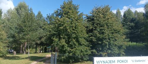 un groupe d'arbres dans un parc avec un panneau dans l'établissement U Stefanów, à Królowy Most