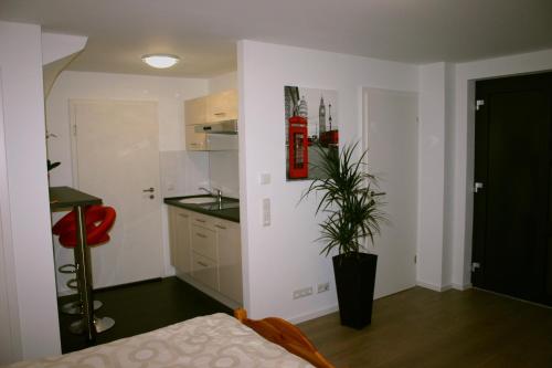 Zimmer mit Küche und Topfpflanze in der Unterkunft Apartment Ardi in Filderstadt