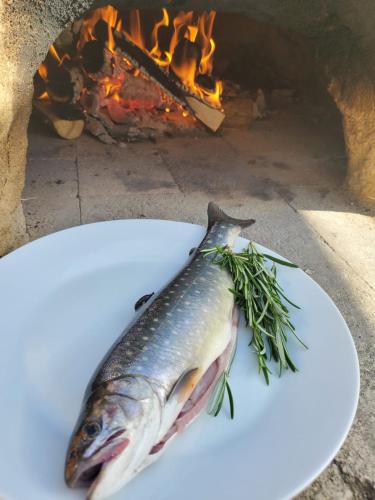 a fish on a plate in front of a fire at OFFGRID Haus am Angelteich in Thallern