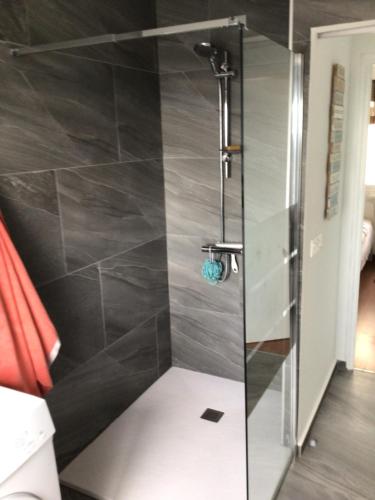 um chuveiro com uma porta de vidro na casa de banho em Le Montemar em Alicante