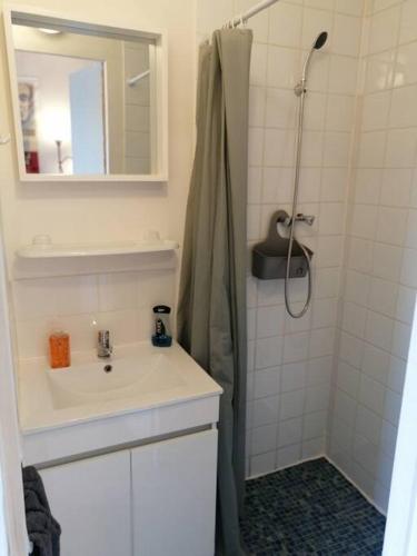 une salle de bain avec un lavabo et une douche avec un miroir dans l'établissement S1 Logement entier tout équipé Courtenay, à Courtenay