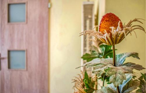 a flower in a vase next to a door at 4 Bedroom Awesome Home In Kobylnica in Kobylnica