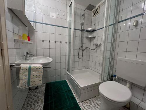e bagno con doccia, servizi igienici e lavandino. di Finkenhof-Wohnung-Tulpe ad Archsum