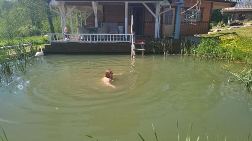 a person swimming in a pond in front of a house at Neitsijärve majutus in Otepää