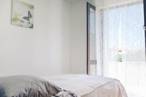 een witte slaapkamer met een bed en een raam bij Apartments with a parking space Fazana - 7205 in Fažana