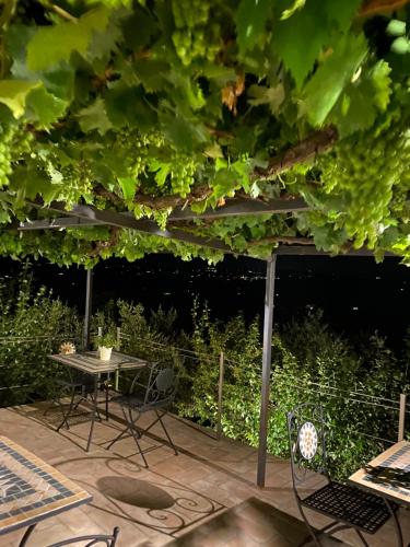 a patio with a table and chairs under a bunch of lettuce at Podere Belsogno in Montalcino