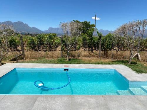 a blue swimming pool with a hose in a yard at Domaine Coutelier in Stellenbosch
