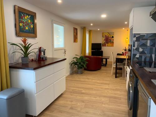 a kitchen with a counter top and a living room at L'echappée briarde in Marles-en-Brie