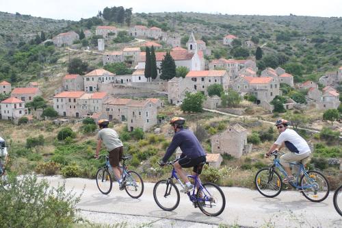 Traditional gulet, cruises & events