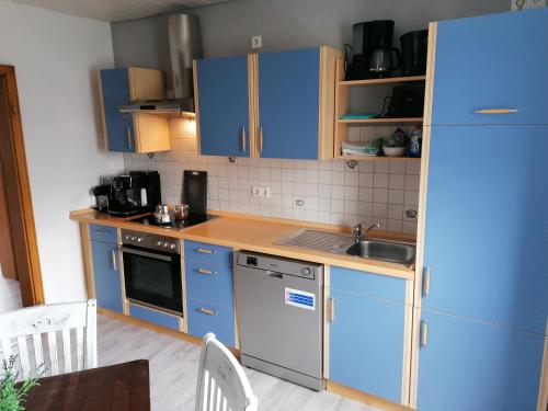 a small kitchen with blue cabinets and a sink at Ferienwohnung Körner in Saarbrücken