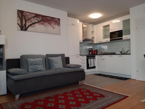 a living room with a couch and a kitchen at Vienna Lion Apartment in Vienna