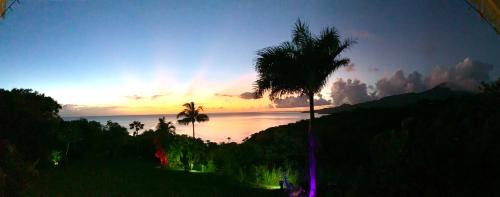 una palmera y el océano al atardecer en LODGE COLIBRIS vue panoramique mer et montagne pelée , 500 m plage dans un parc , Calme assuré Idéal pour découvrir le nord Caraïbes en Le Carbet