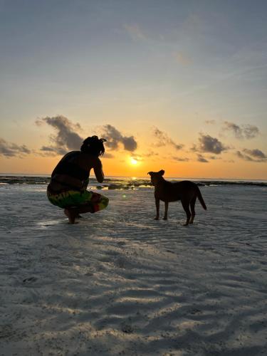 a person playing with a dog on the beach at The View of Zanzibar in Michamvi