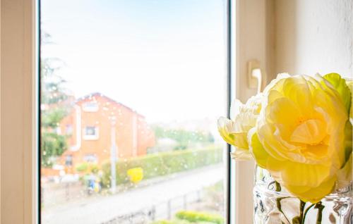 a vase with a yellow flower in a window at 2 Bedroom Cozy Apartment In Kolobrzeg in Kołobrzeg