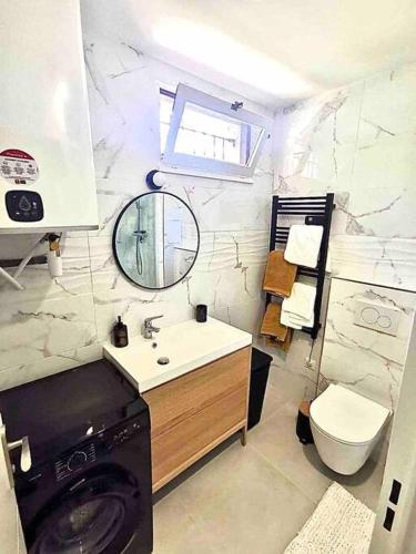 une salle de bain avec un lavabo, des toilettes et un miroir dans l'établissement Un coin de paradis 2 ou 4 personnes refait à neuf, à Sainte-Maxime