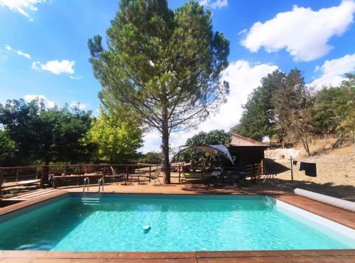 une piscine avec un arbre en arrière-plan dans l'établissement Le Wigwam du Fassac, à Saint-Julien-du-Puy