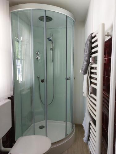 La salle de bains est pourvue d'une douche en verre et de toilettes. dans l'établissement Grimmingapartment Maier, à Stainach