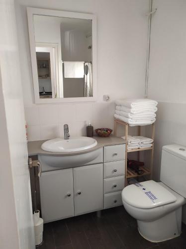 a bathroom with a sink and a toilet and a mirror at Apartamentos Can bruguera 3 in Mataró