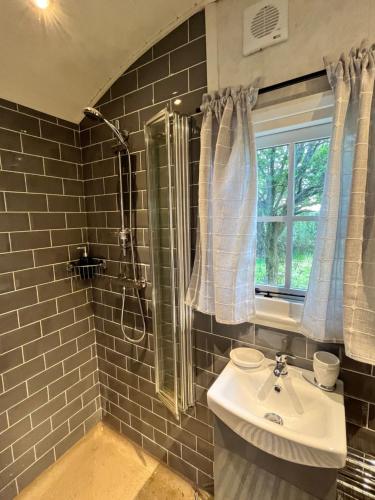 a bathroom with a sink and a shower and a window at The Hazel Hut in Westport