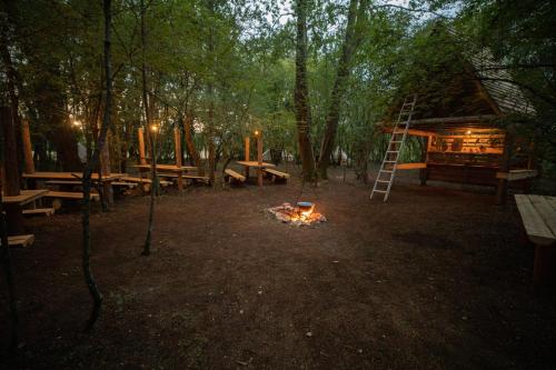 a group of picnic tables and a fire in a forest at Camp Ćuk 