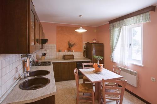 a kitchen with a sink and a table with chairs at Family friendly apartments with a swimming pool Sumber, Central Istria - Sredisnja Istra - 7332 in Nedeščina