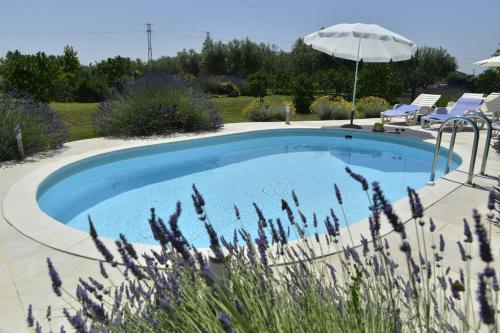 ein Pool mit einem Sonnenschirm und einigen Stühlen und Stühlen in der Unterkunft Family friendly house with a swimming pool Guran, Central Istria - Sredisnja Istra - 7373 in Vodnjan