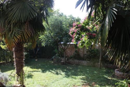 Taman di luar Apartments with a parking space Basanija, Umag - 7334
