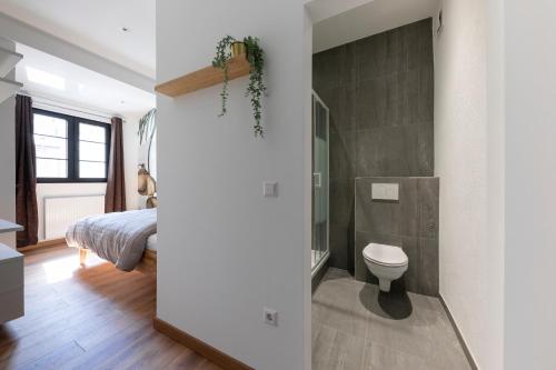 un bagno con servizi igienici e un letto in una camera. di IQS Rooms - Chambre double avec salle de bain a Lussemburgo
