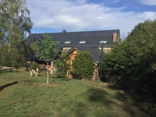 a house with a goat standing in a yard at Maison Druyard huis met 5 slaapkamers in Durbuy
