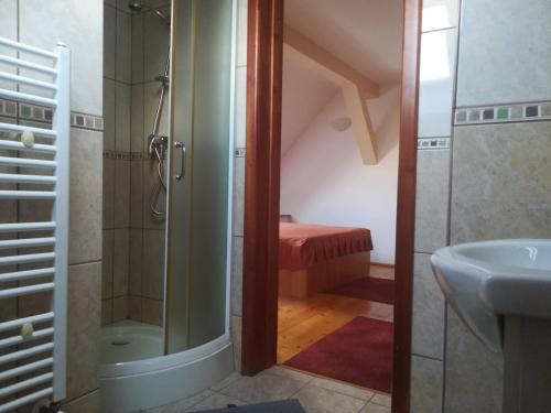 a bathroom with a shower and a sink at Casa Pleșca in Sibiu