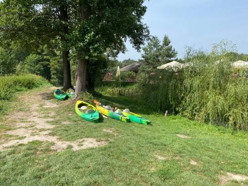 a group of kayaks parked next to a tree at FoRest Inn in Trzepieciny