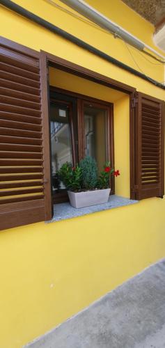 a yellow building with a window and two potted plants at Dream & Fly Apartments in Busto Arsizio