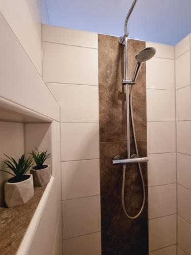 a shower stall in a bathroom with a plant at Haus Moor Merland in Moormerland