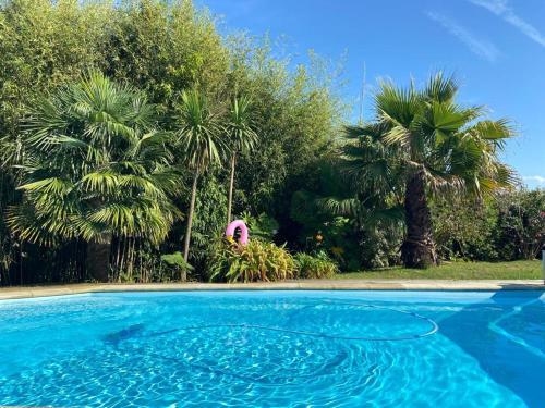 a swimming pool with palm trees in the background at Chambre SOKA in Urrugne