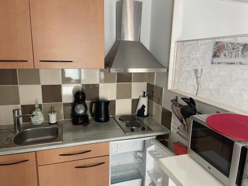 a small kitchen with a sink and a stove at Studio rez-de-chaussée, à Lesquin/Lille aéroport in Lesquin