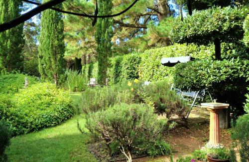 Jardin de l'établissement Southdown Cottage