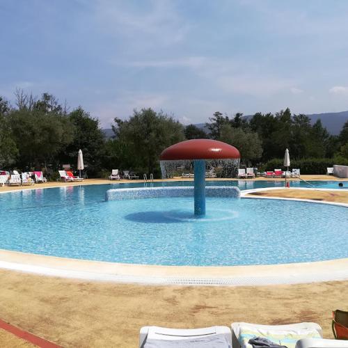 a large swimming pool with a red umbrella in it at Casa das Rosas - Roses House in Miranda do Corvo
